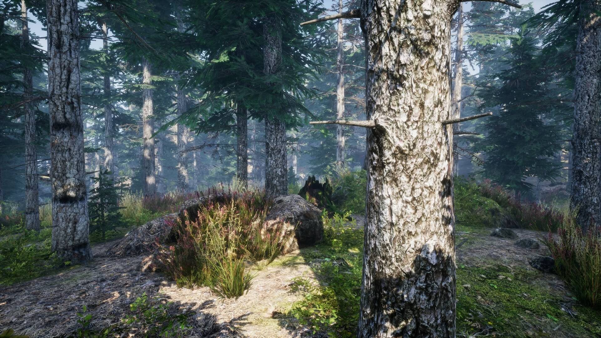 Environment Set Nature Manufacture