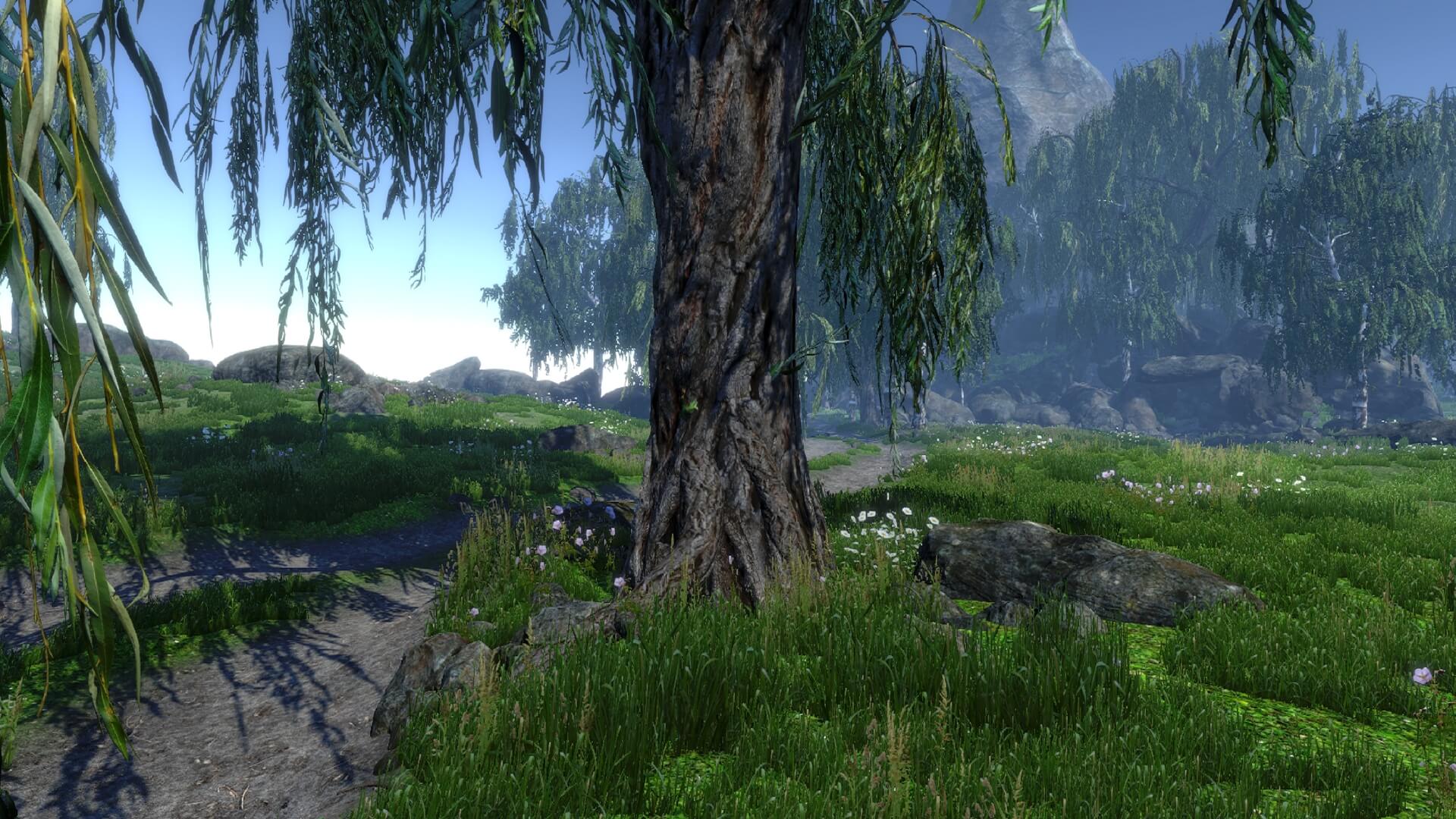 Dynamic Nature Starter Nature Manufacture