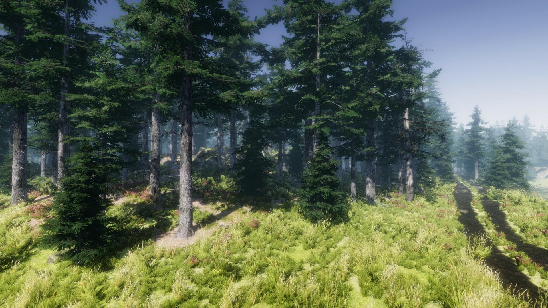 Unity forest. Юнити лес. Юнити природа. Terrain Forest. Плоский лес для Юнити.